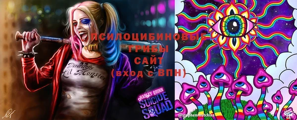 гашик Алексеевка